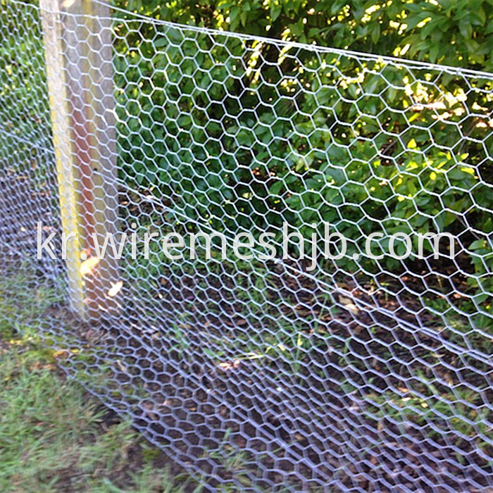 Hexagonal wire mesh